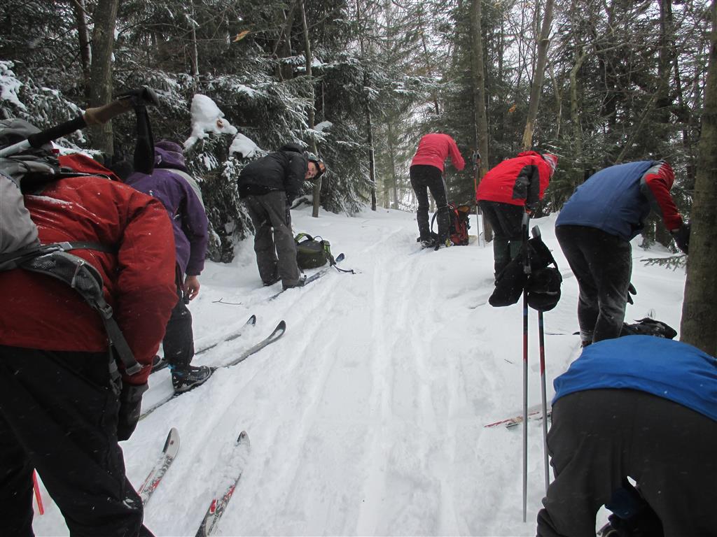 Photo by Marie Bartlett